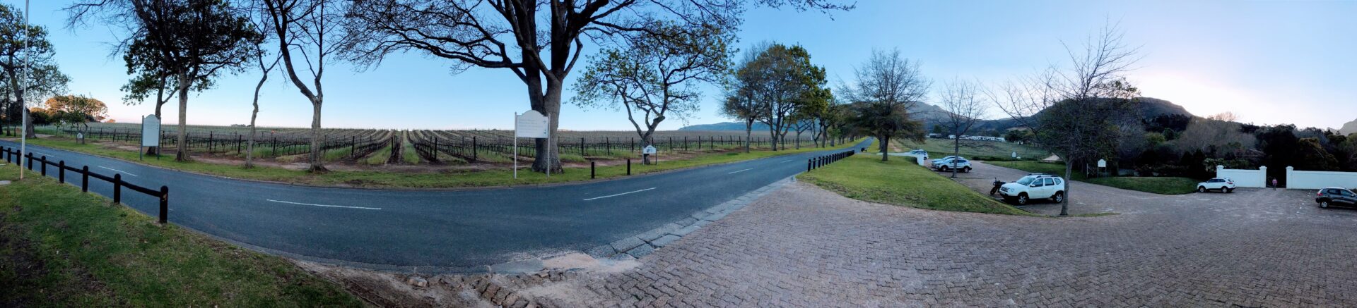 Panorama Shot of a Park